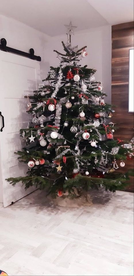 11/22 Choinki czytelników portalu gorzowianin.com