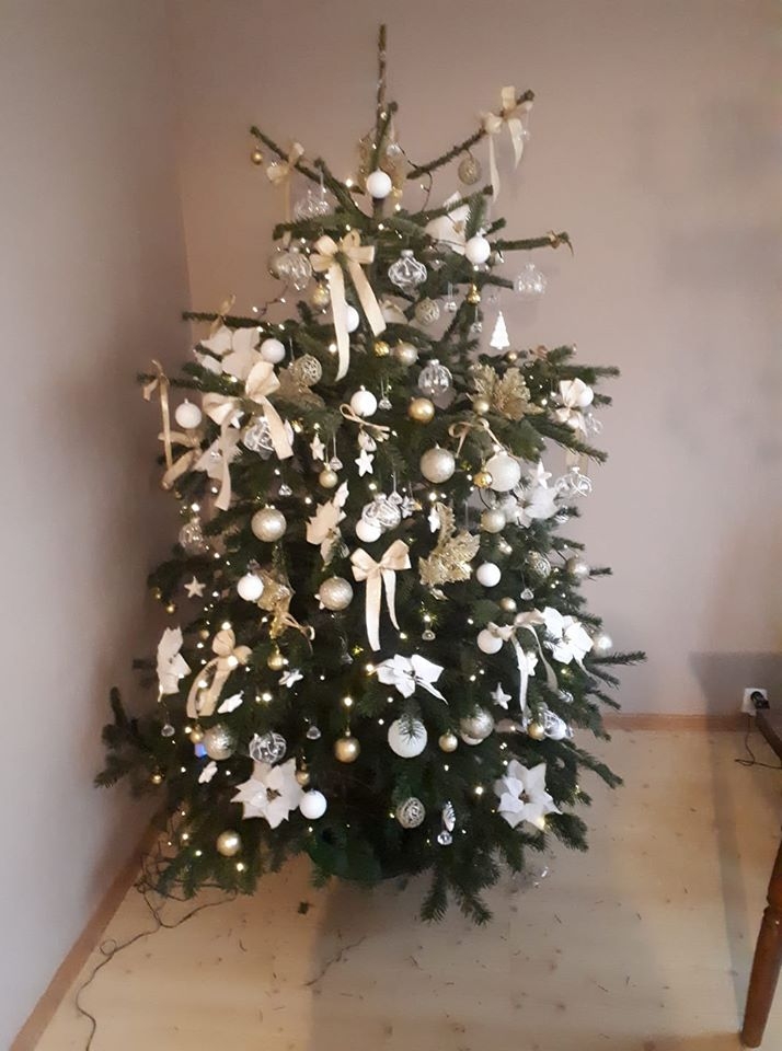 12/22 Choinki czytelników portalu gorzowianin.com