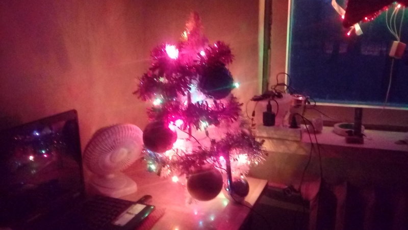 13/22 Choinki czytelników portalu gorzowianin.com