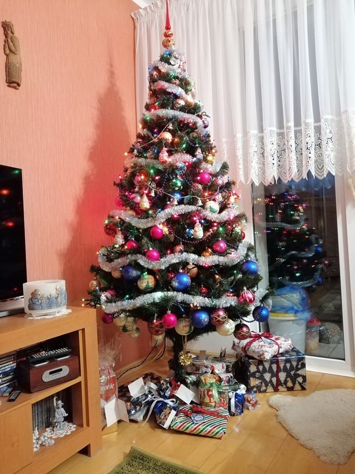 14/22 Choinki czytelników portalu gorzowianin.com