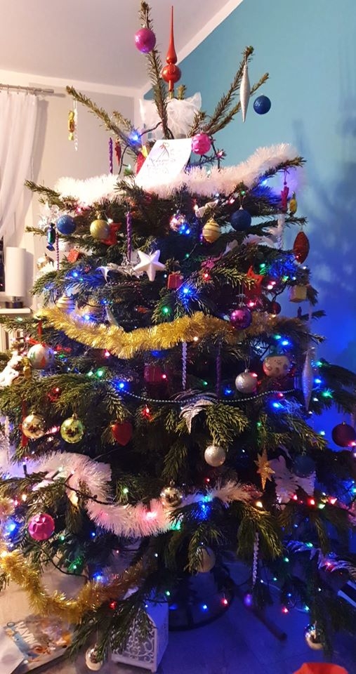 15/22 Choinki czytelników portalu gorzowianin.com