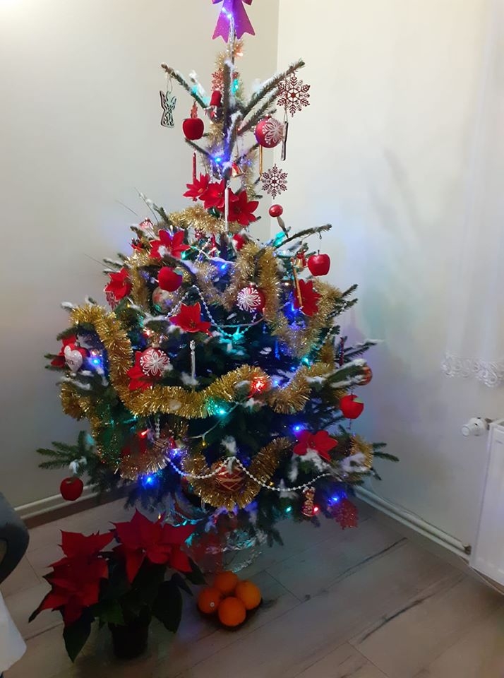 16/22 Choinki czytelników portalu gorzowianin.com