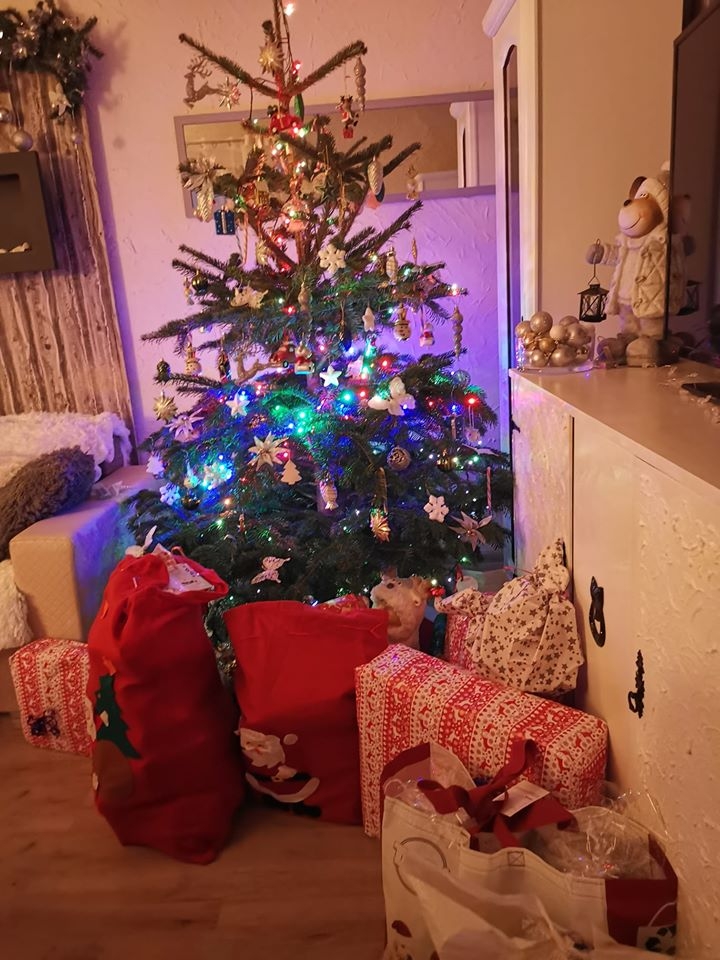 17/22 Choinki czytelników portalu gorzowianin.com