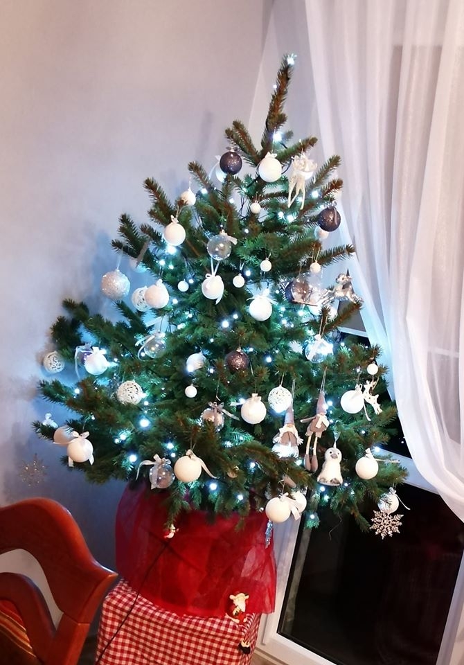 20/22 Choinki czytelników portalu gorzowianin.com