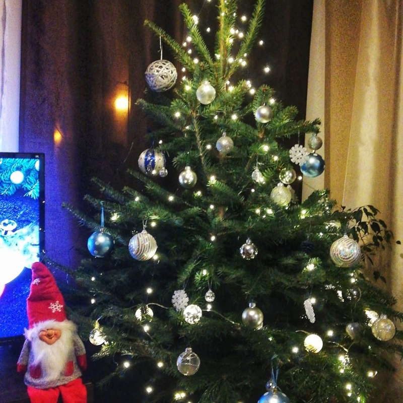 21/22 Choinki czytelników portalu gorzowianin.com