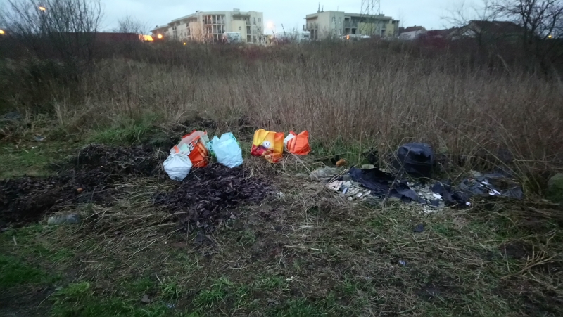 3/4 Śmieci przy ul. Srebrnej