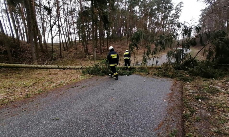 1/9 Akcja strażaków z OSP Bogdaniec