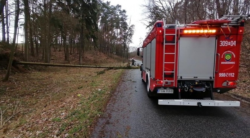 5/9 Akcja strażaków z OSP Bogdaniec