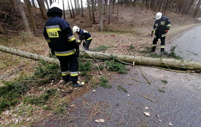 6/9 Akcja strażaków z OSP Bogdaniec