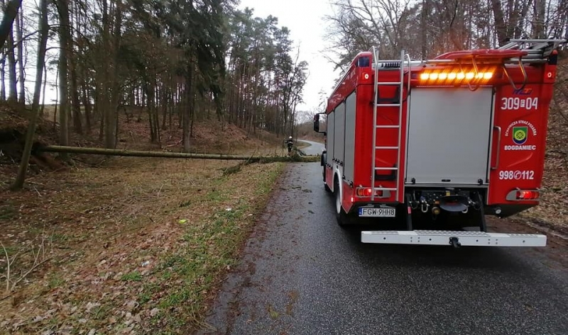 7/9 Akcja strażaków z OSP Bogdaniec