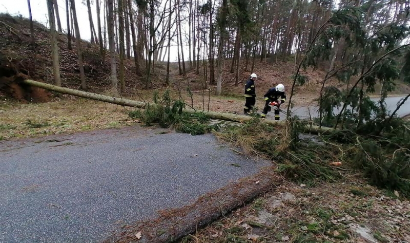 8/9 Akcja strażaków z OSP Bogdaniec