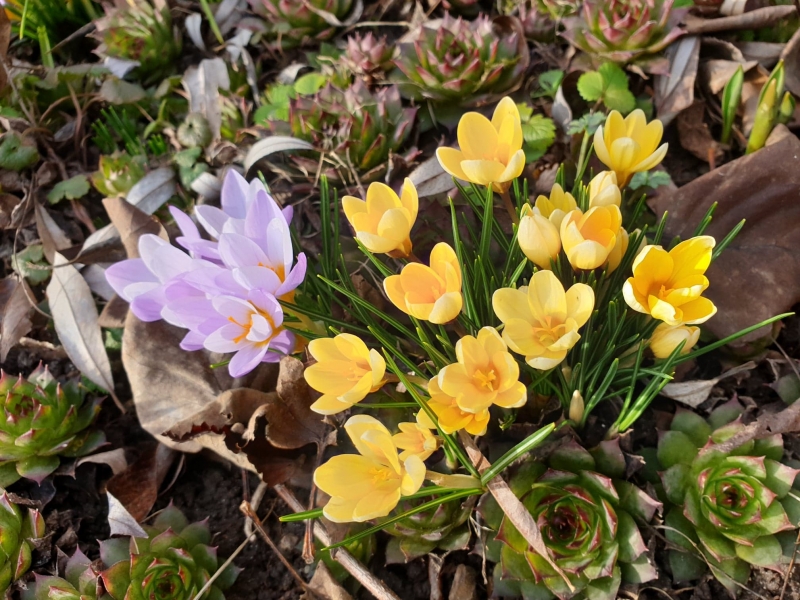 4/6 Wiosna coraz bliżej?