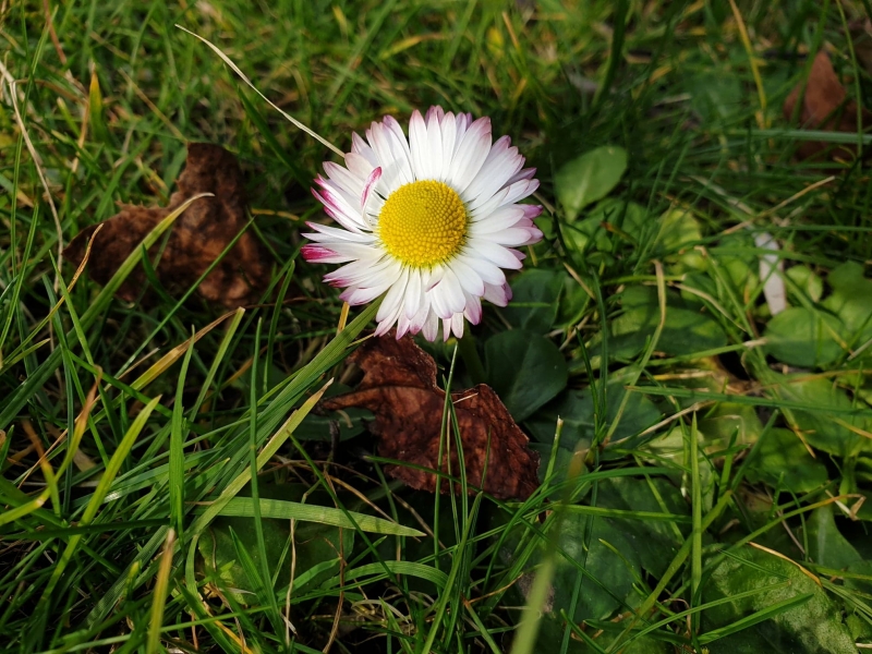 5/6 Wiosna coraz bliżej?