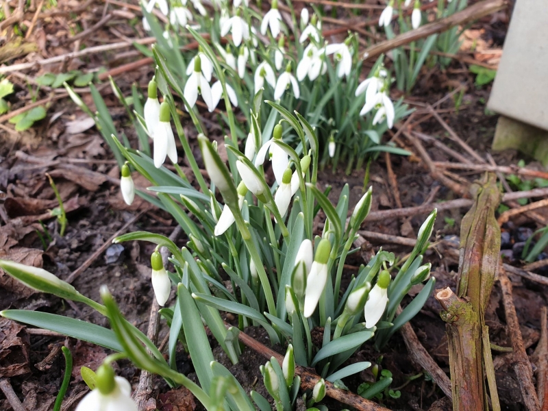 6/6 Wiosna coraz bliżej?