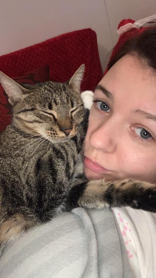 19/86 Kocie piękności naszych czytelników