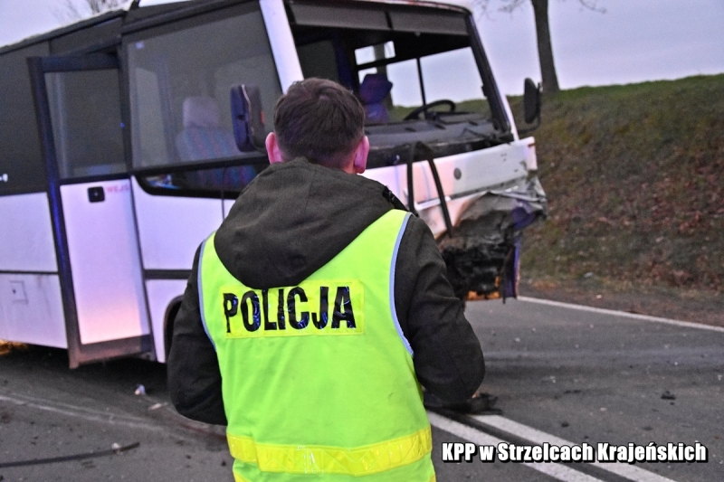 1/5 Śmiertelny wypadek koło Strzelec Krajeńskich