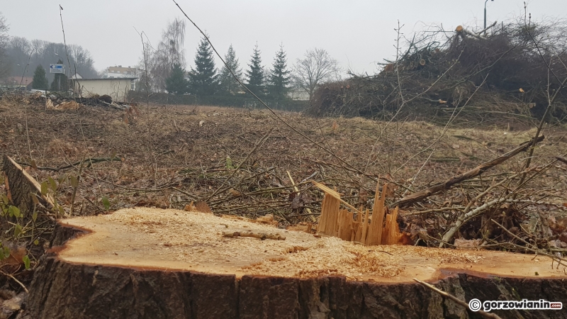 4/14 W tym miejscu powstanie N-Park