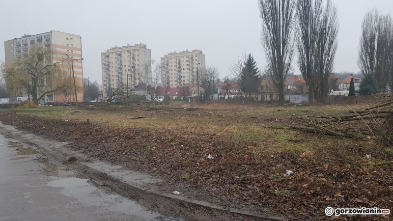 7/14 W tym miejscu powstanie N-Park