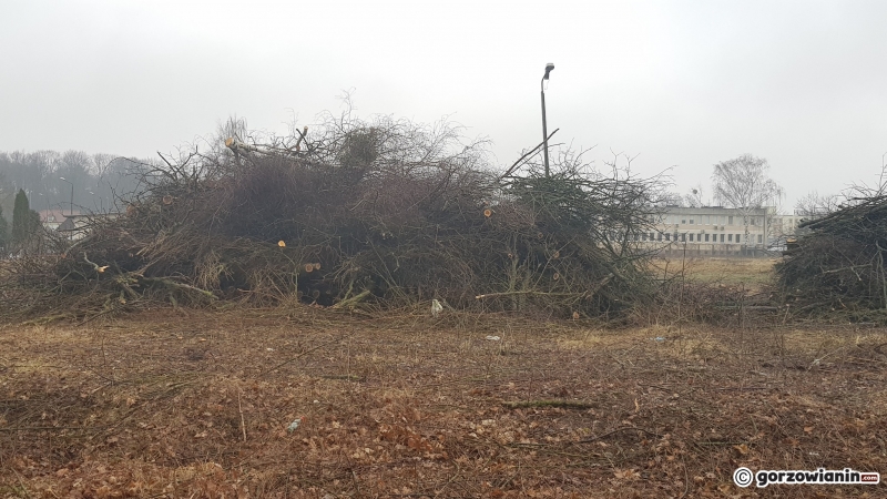 9/14 W tym miejscu powstanie N-Park