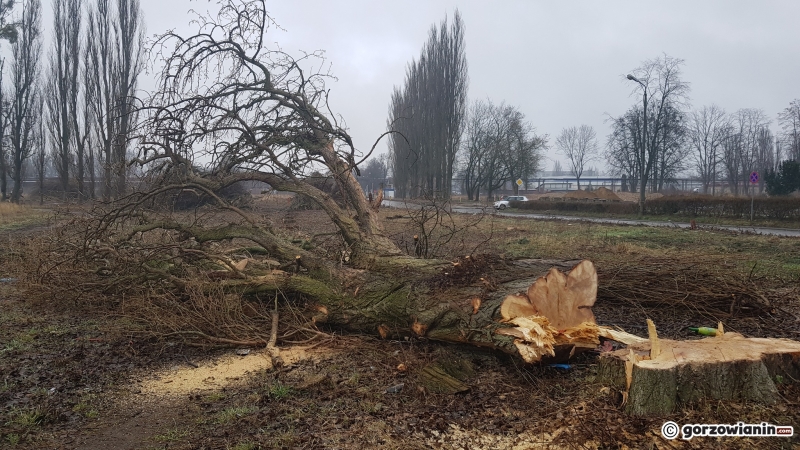 11/14 W tym miejscu powstanie N-Park