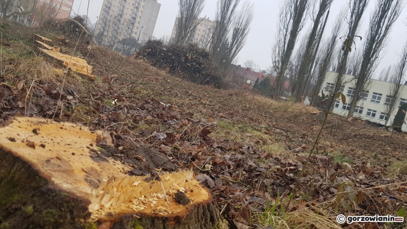 14/14 W tym miejscu powstanie N-Park