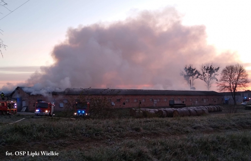 3/10 Pożar kurników pod Gorzowem