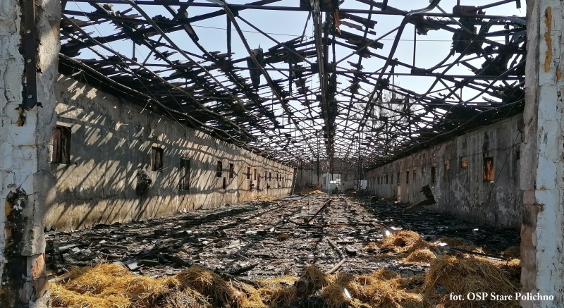 9/10 Pożar kurników pod Gorzowem