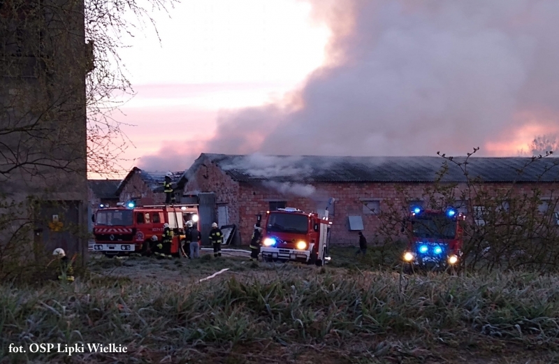 10/10 Pożar kurników pod Gorzowem