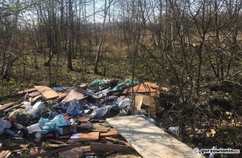 3/5 Śmieci na Gorzowskich Murawach