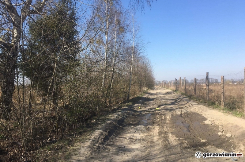 5/5 Śmieci na Gorzowskich Murawach