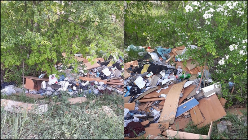 3/3 Śmieci na Gorzowskich Murawach