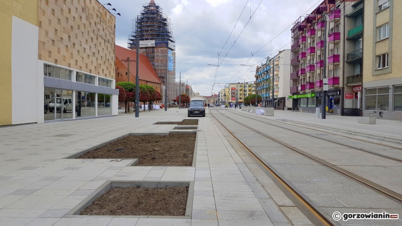 4/10 Nowe drzewka na deptaku przy Sikorskiego