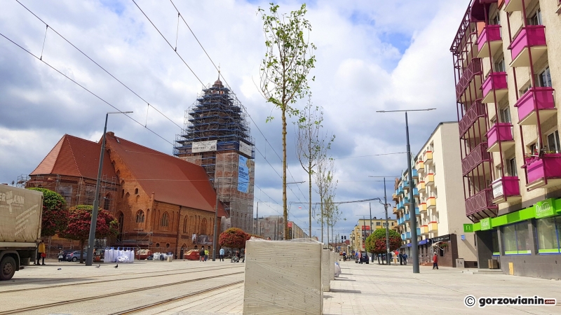 9/10 Nowe drzewka na deptaku przy Sikorskiego