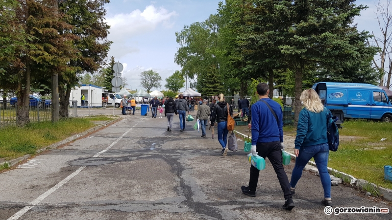 14/14 Tłumy na gorzowskiej giełdzie