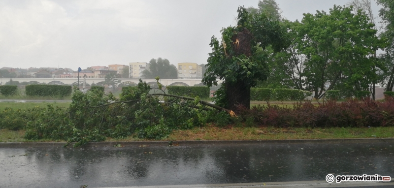 5/10 Zalany Gorzów