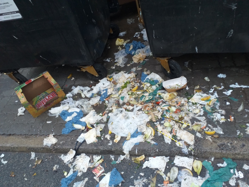 4/4 Śmieciowy problem na Lutyckiej