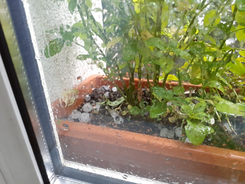 15/15 Piątkowa ulewa i gradobicie nad Gorzowem