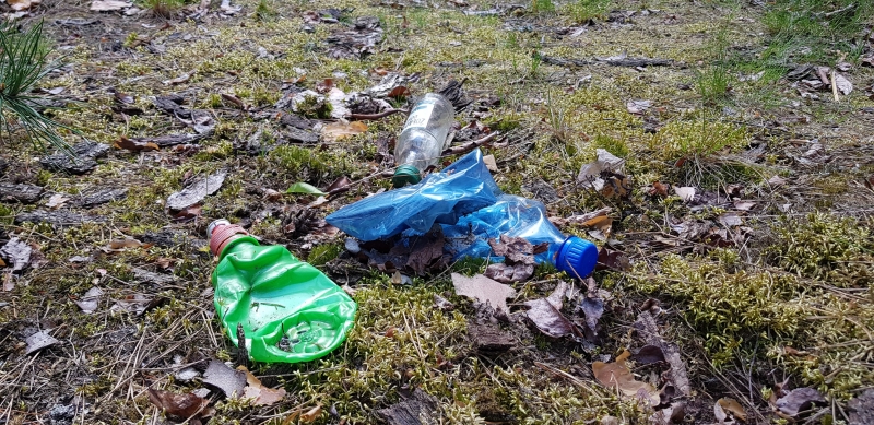 3/6 Coraz więcej śmieci  w lasach

