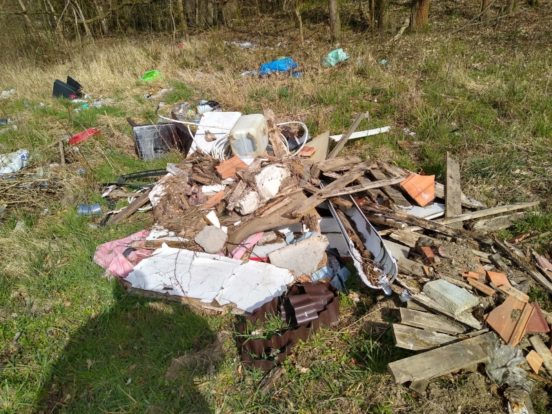 4/6 Coraz więcej śmieci  w lasach

