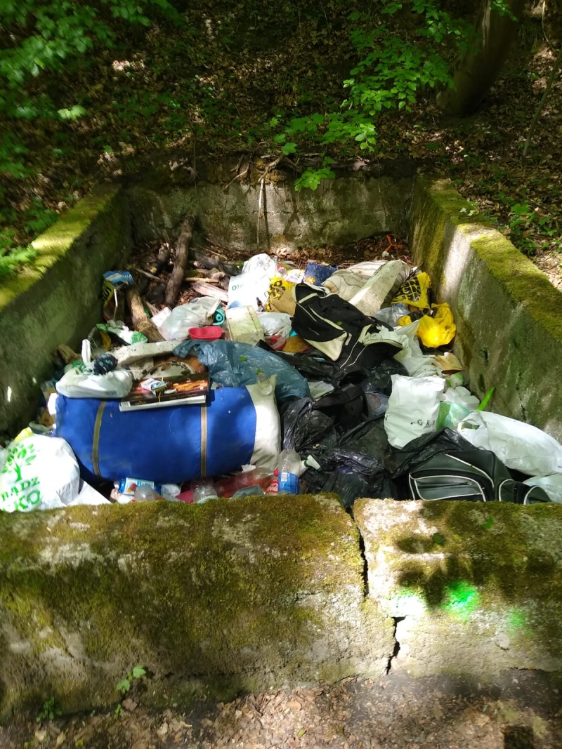 6/6 Coraz więcej śmieci  w lasach

