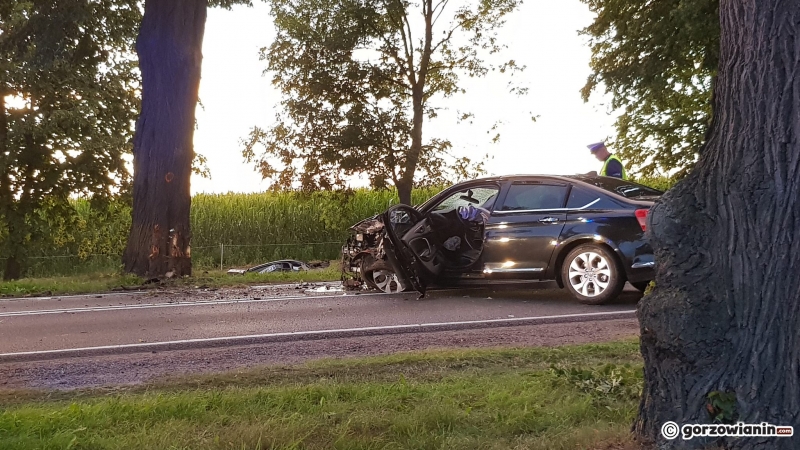 3/5 Pijany kierowca wjechał w drzewo na DK22