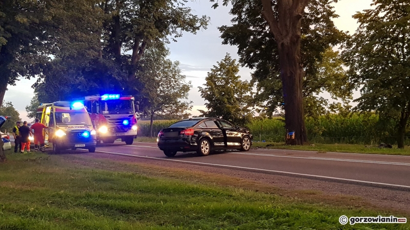 5/5 Pijany kierowca wjechał w drzewo na DK22