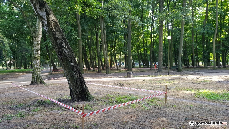 4/10 Trwa rewitalizacja parku Kopernika