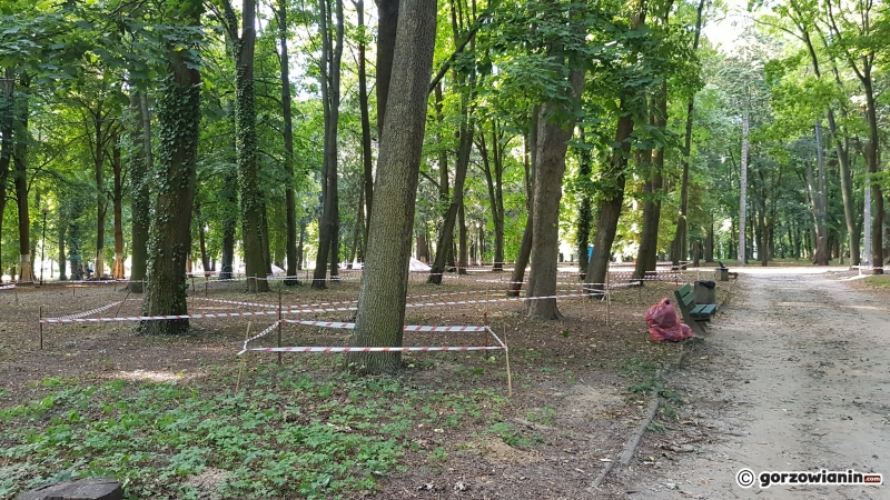 10/10 Trwa rewitalizacja parku Kopernika
