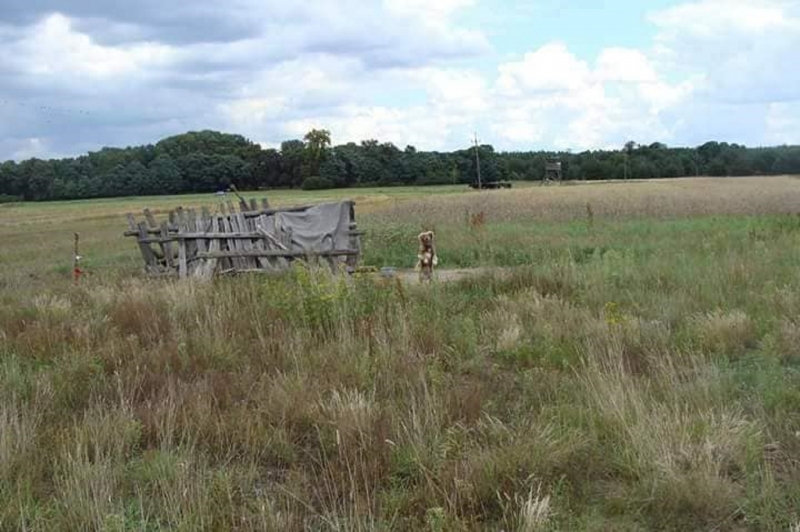 3/3 Pies na łańcuchu w szczerym polu