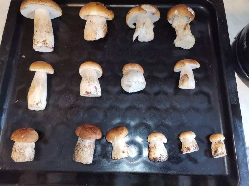 6/30 Grzyby zebrane przez czytelników portalu gorzowianin.com