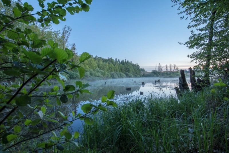 6/6 Hanza Pałac **** Hotel w Borach Tucholskich