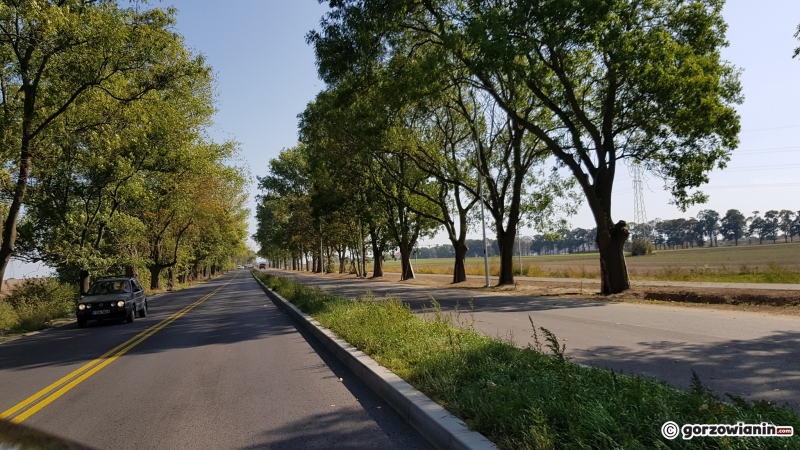 10/21 Postęp prac przy ul. Myśliborskiej