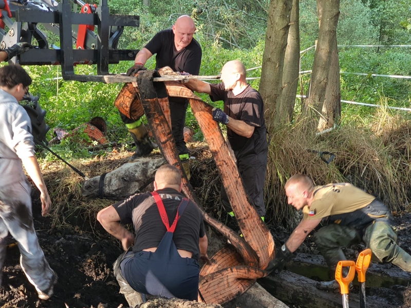 2/7 Strażacy uratowali konia