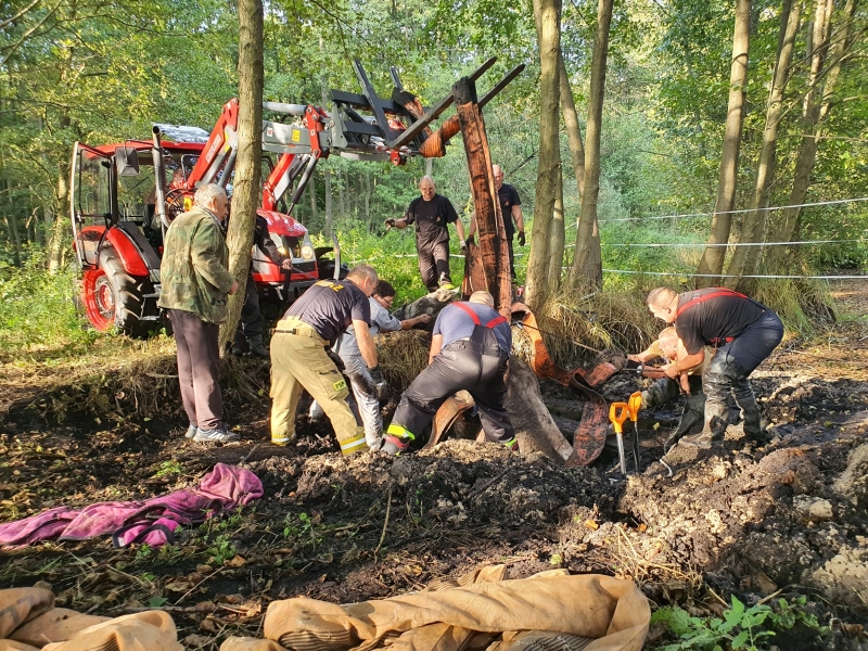 5/7 Strażacy uratowali konia